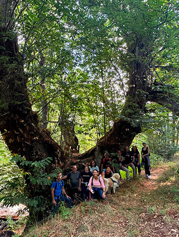 ruta-villadeacero01 Gastro Ruta en Villar de Acero