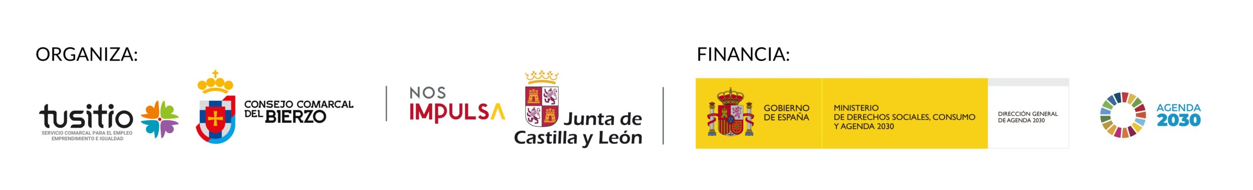 Logos para proyectos Bierzo2030. Correcto